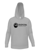 Badgers Embroidered Hoody — £72 front